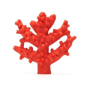 Mordedor en forma de Coral de la marca Lanco, perfecto para aliviar la salida de los dientes